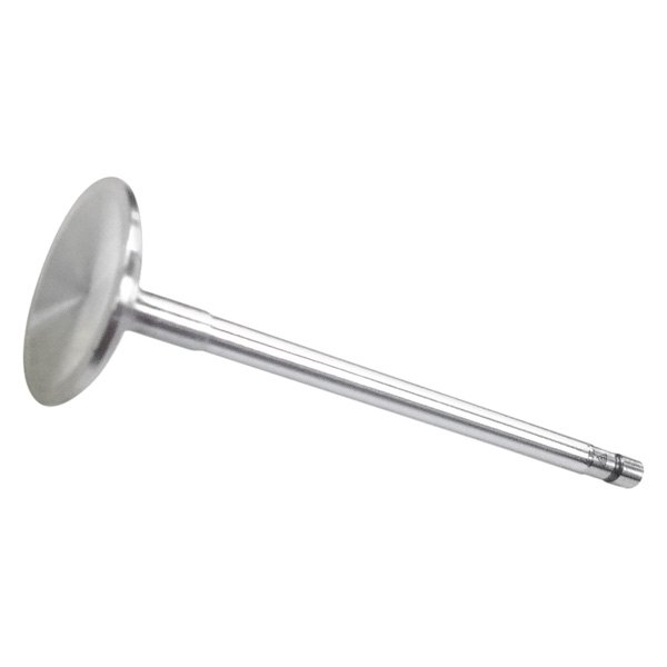 QualCast® - Intake Valve 