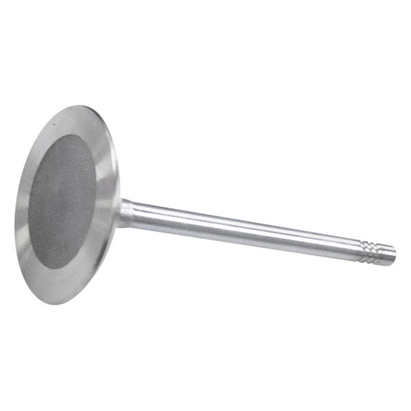 QualCast® - Intake Valve 