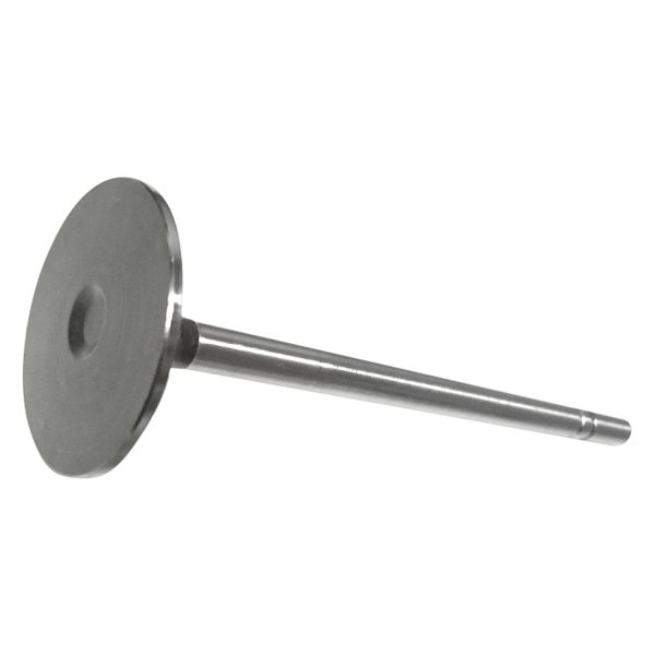 QualCast® - Intake Valve 