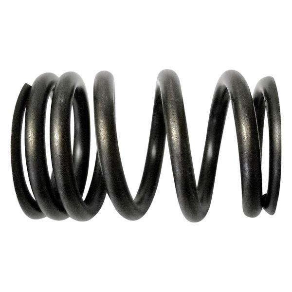 QualCast® - Valve Spring 