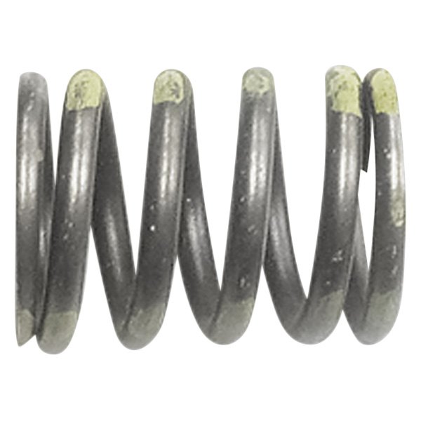 QualCast® - Valve Spring 