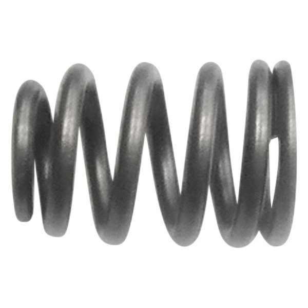 QualCast® - Valve Spring 