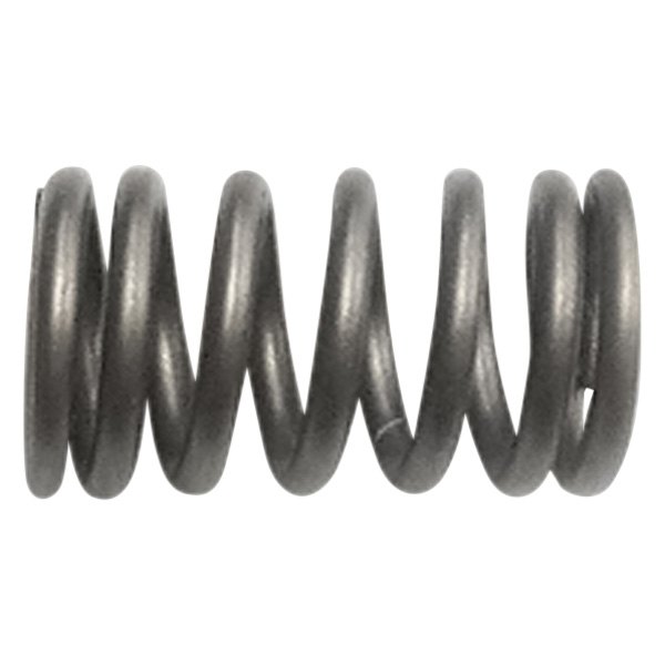 QualCast® - Valve Spring 