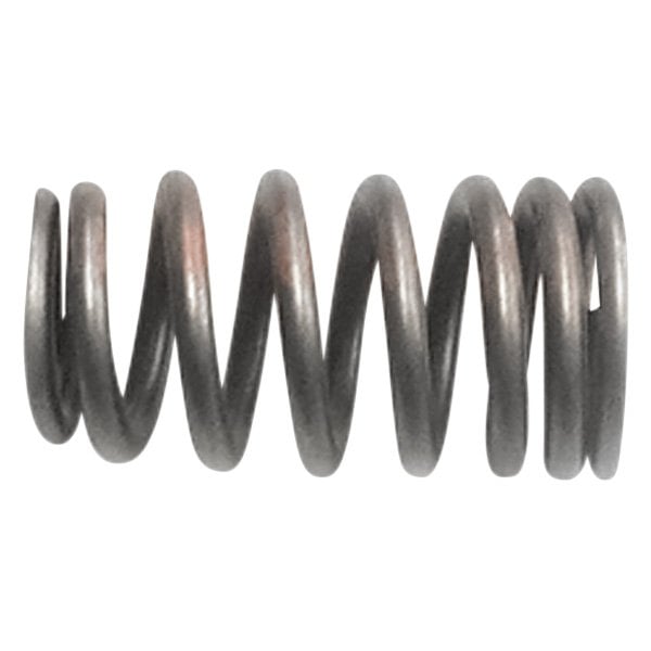 QualCast® 322480 Valve Spring