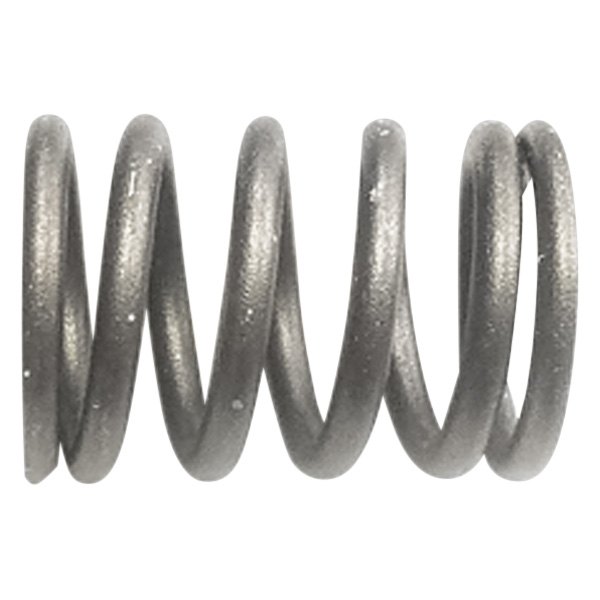 QualCast® - Valve Spring 