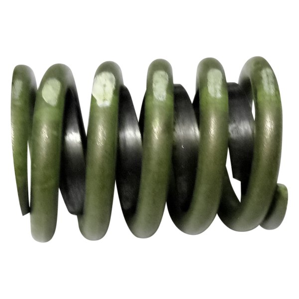 QualCast® - Valve Spring with Damper 