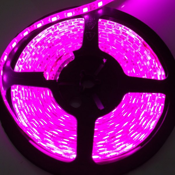  Race Sport® - 192" 5050 Purple LED Strip