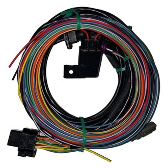 Racepak® - IQ3D™ Drag Dash Monitor Harness