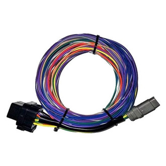 Racepak® - IQ3S™ Street Dash Monitor Harness