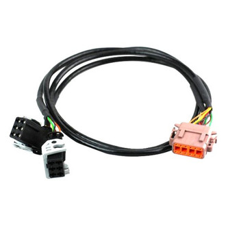 Racepak® 280-CA-LSUB-AMP - B Side AMP Air/Fuel Controller Harness