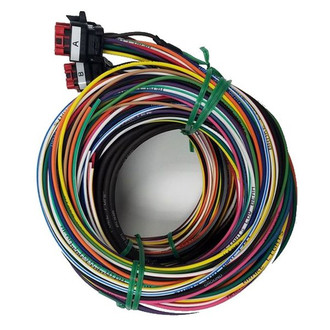 Racepak® - Street SmartWire™ Power Control Module Harness