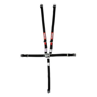 RaceQuip® - Jr. Dragster and Quarter Midget 5-Point Harness