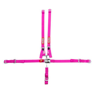 RaceQuip® - Jr. Dragster and Quarter Midget 5-Point Harness