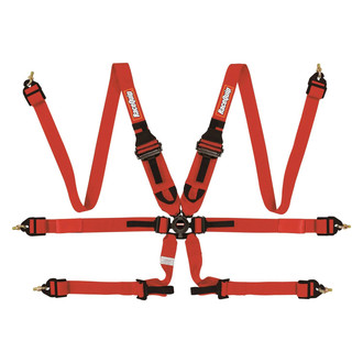 RaceQuip® - FIA Camlock 6-Point Harness