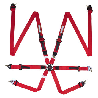 RaceQuip® - FIA Camlock 6-Point Harness