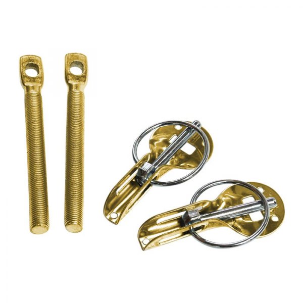 Racetech® - Gold Hood Pin Set