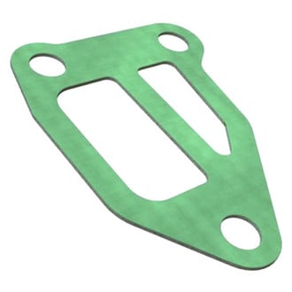 Radium® - IACV Gasket