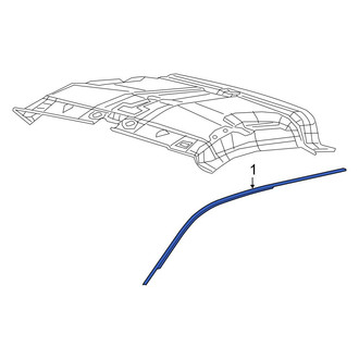 Ram OE - Front Left Roof Drip Molding