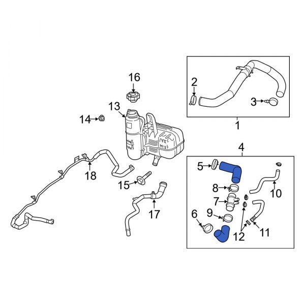 Radiator Coolant Hose