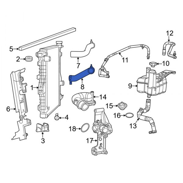 Radiator Coolant Hose