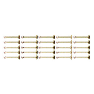 Raybestos® - R-Line™ Drum Brake Shoe Spring Hold Down Pin