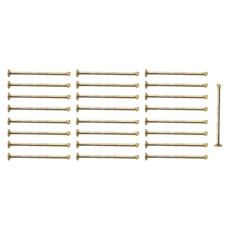 Raybestos® - R-Line™ Rear Drum Brake Shoe Spring Hold Down Pin Set