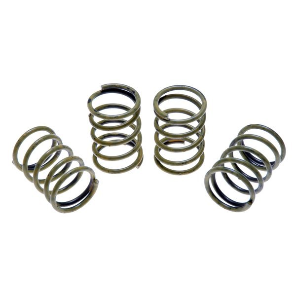 Raybestos® - R-Line™ Front Secondary Drum Brake Hold Down Springs