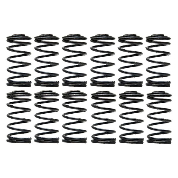 Raybestos® - R-Line™ Front Primary Drum Brake Hold Down Springs