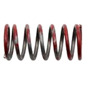 Raybestos® - R-Line™ Drum Brake Adjusting Lever Return Spring Set