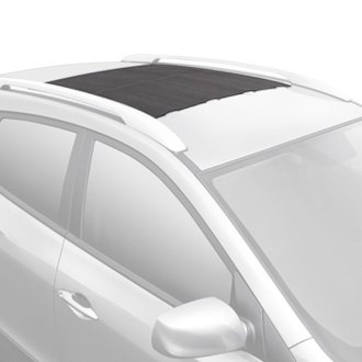 reese explore expandable cartop carrier