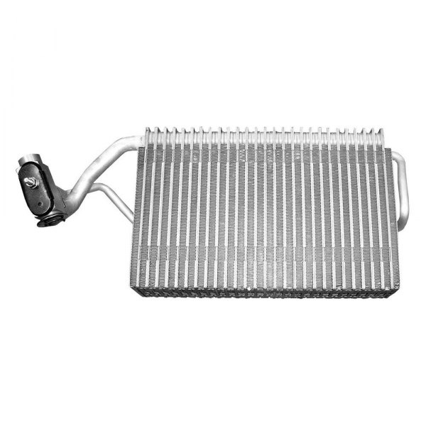 Rein® - A/C Evaporator Core Kit