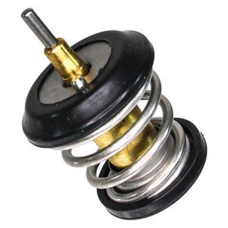Rein® - Engine Coolant Thermostat
