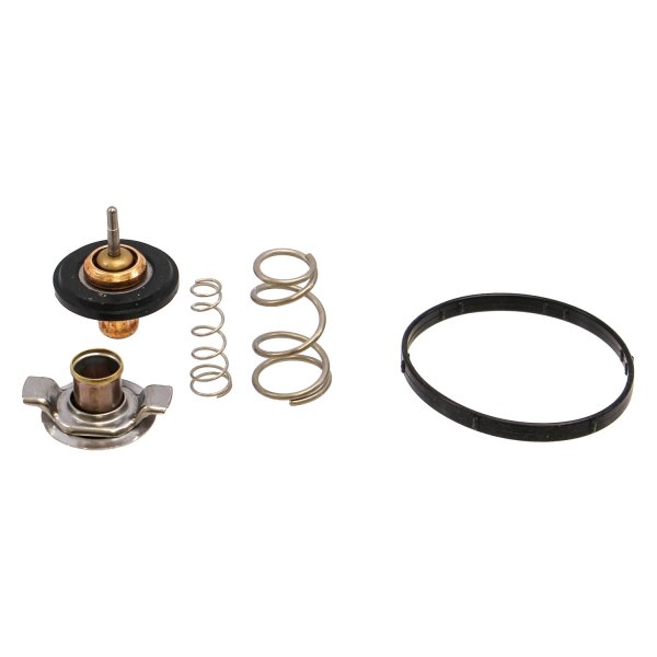 Rein® - Engine Coolant Thermostat