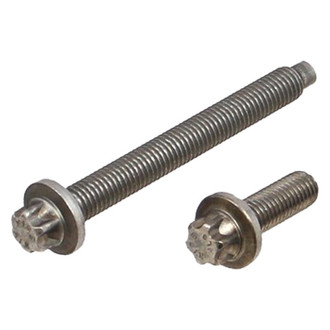 Rein® - Lug Bolt