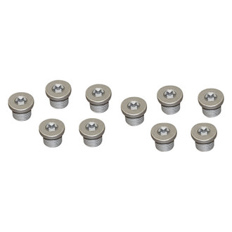 Rein® - Oil Drain Plug