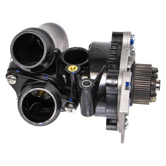 Rein® - Water Pump