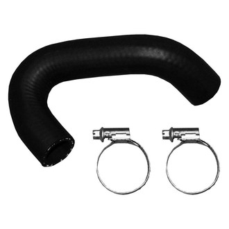 Rein® - Secondary Air Injection Pump Hose