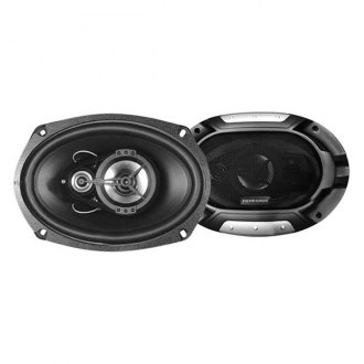 renegade speakers