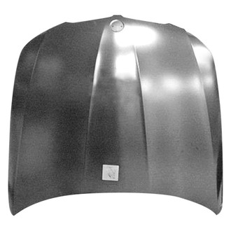 Replace® - Hood Panel