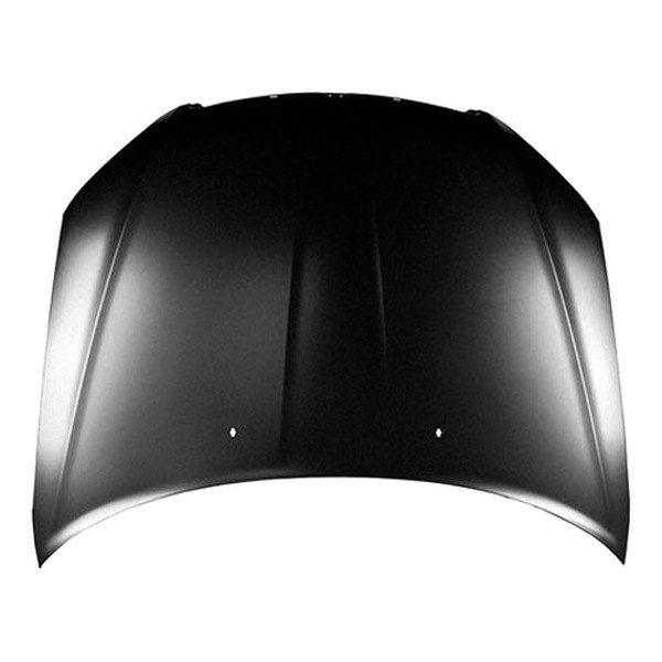 Replace® - Hood Panel