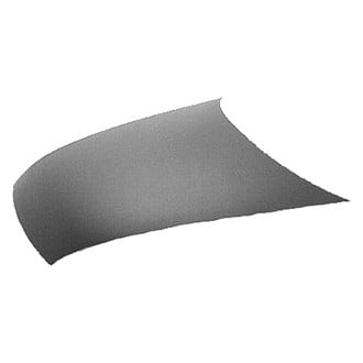 Replace® - Hood Panel