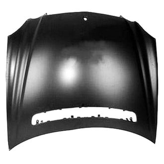 Replace® - Hood Panel