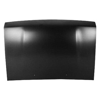 Replace® - Hood Panels