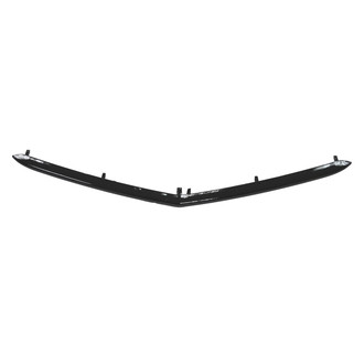 Replace® - Lower Grille Molding (CAPA Certified)