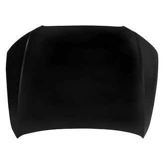Replace® - Hood Panel (Platinum Plus)