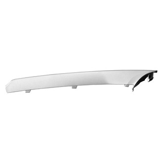 Replace® - Bumper Cover Grille Moldings