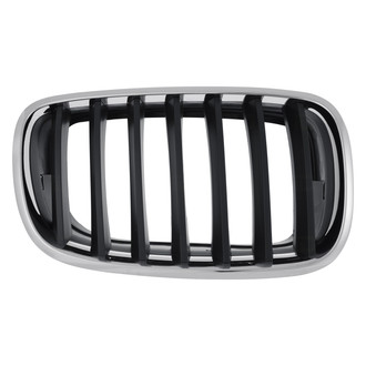 Replace® - Passenger Side Grille (CAPA Certified)
