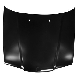Replace® - Hood Panel