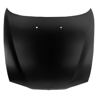 Replace® - Hood Panel (Standard Line)