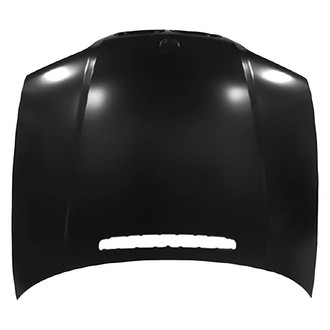 Replace® - Hood Panel (Value Line)